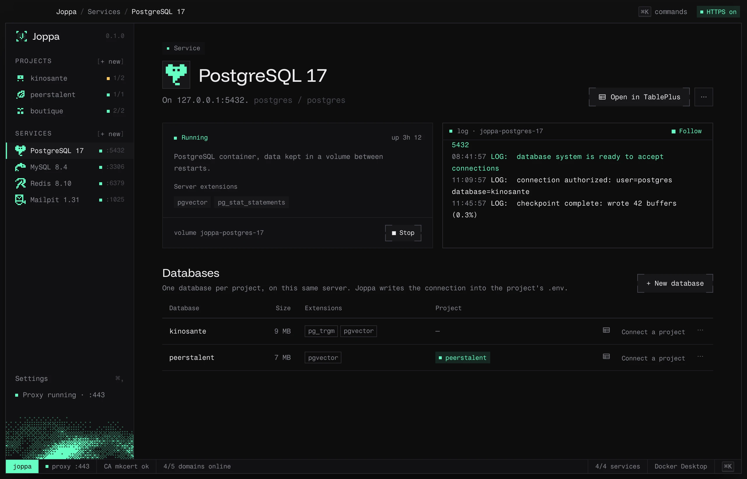 The PostgreSQL 17 page: status, server extensions, log and the projects’ databases