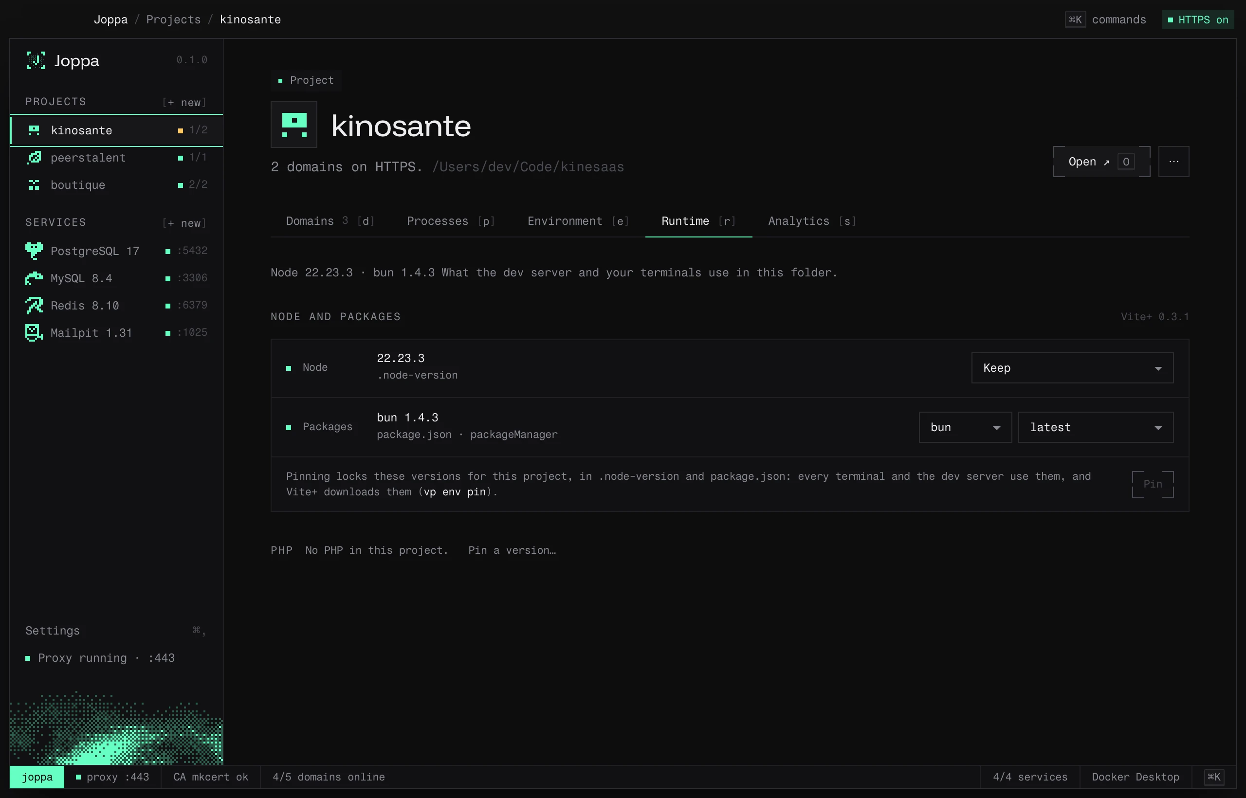 The Runtime tab: the project’s Node, package manager and PHP versions
